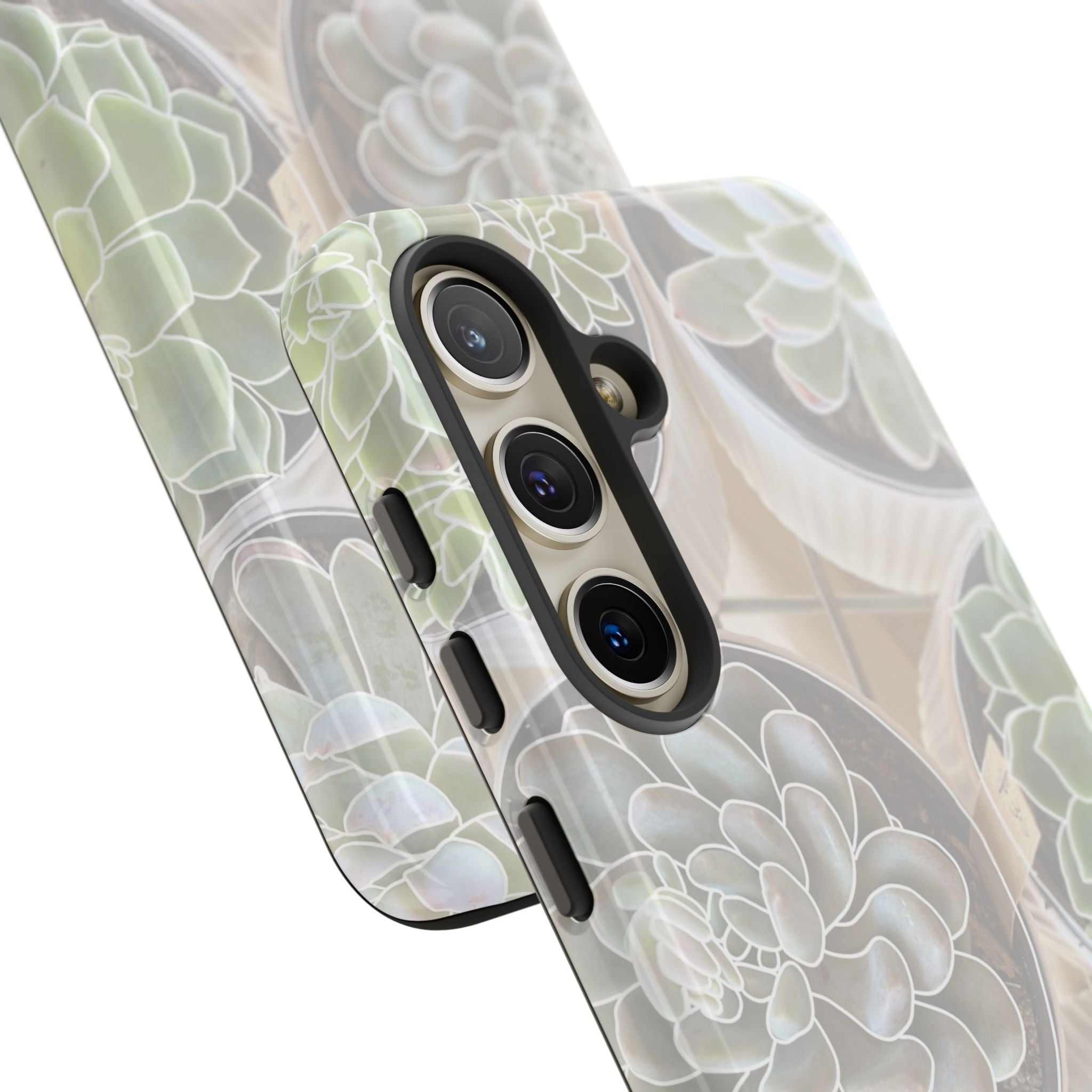 Succulent Highlights